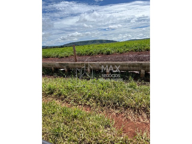 Fazenda_Venda