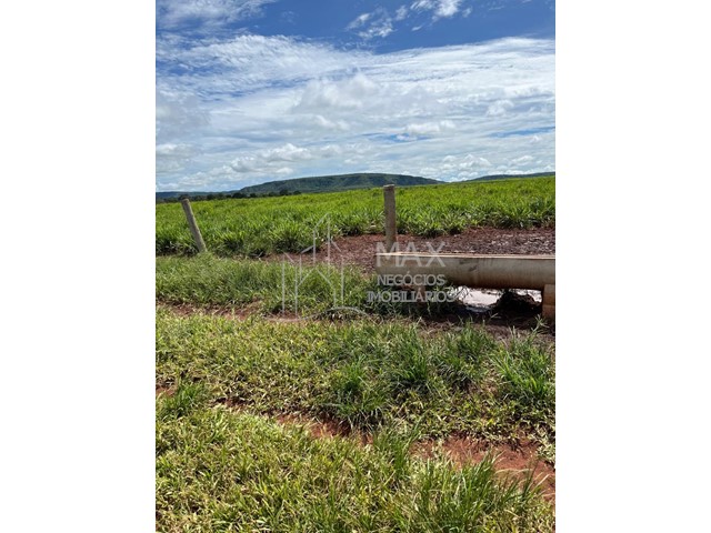 Fazenda_Venda